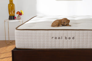 Real Bed natural mattress with puppy on top..