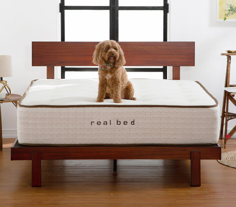 real bed mattress